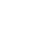 wolfsthetics.com Logo